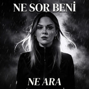 Ne Sor Beni, Ne Ara by Arzu Arslan Şenol