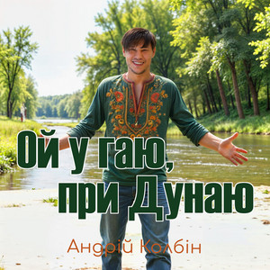 Ой у гаю, при дунаю