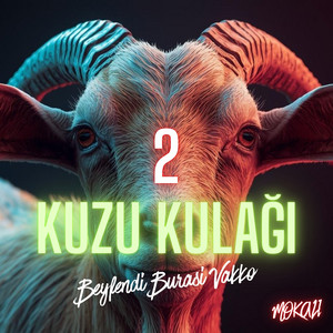 Mokali - 2 Kuzu Kulağı Beyfendi Burası Vakko