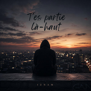 T'es partie là-haut by Iznam