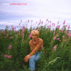 pretty place 2 cry by worry