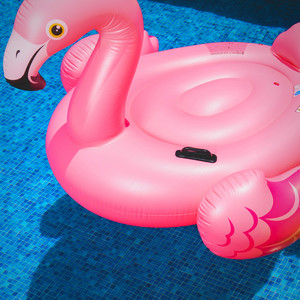 Pinky by Rodrosky