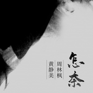 怎奈 - DJ沈念版 by 黄静美, 周林枫