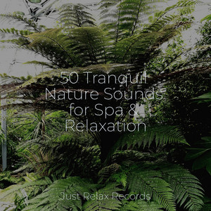 50 Tranquil Nature Sounds for Spa & Relaxation