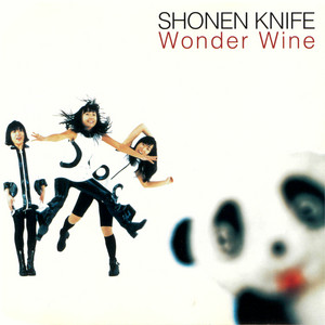 The KKK Took My Baby Away - song and lyrics by Shonen Knife | Spotify