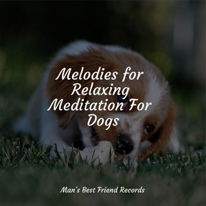 Melodies for Relaxing Meditation For Dogs album