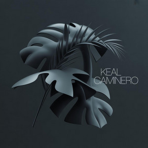 TODO SUBE by Keal Caminero