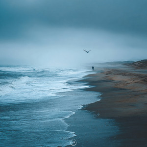 Missing by Yara Lina.