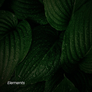 Elements by Florin Roi