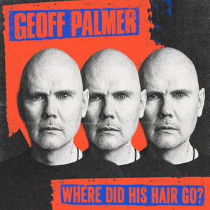 WHERE DID HIS HAIR GO? by Geoff Palmer