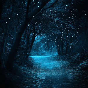 Silent Stars by Ethereal Drifters