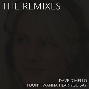 I Don't Wanna Hear You Say: The Remixes
