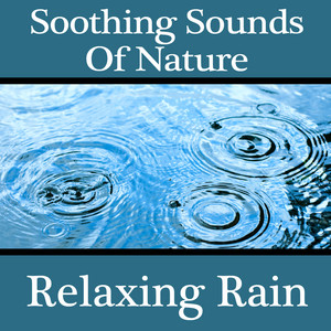 Pro Sound Effects Library - Thunderstorm 1
