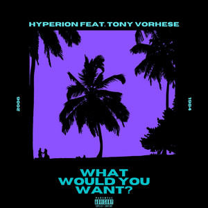 What Would You Want? by Hyperion The Rapper, Tony Vorhese