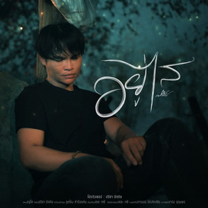 อยู่ไส by ปรีชา ปัดภัย