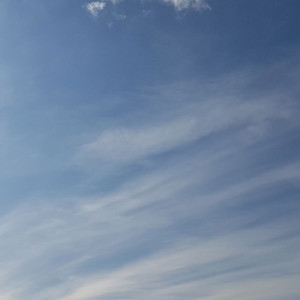 Hai visto mai