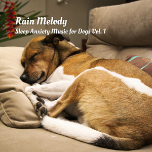 Rain Melody: Sleep Anxiety Music for Dogs Vol. 1 album