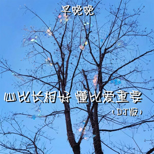 早晚晚 - 心比长相好 懂比爱重要 (Dj版伴奏)