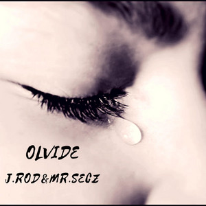 Portada de Olvide
