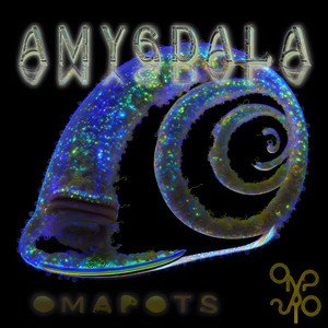 Amygdala by Omapots
