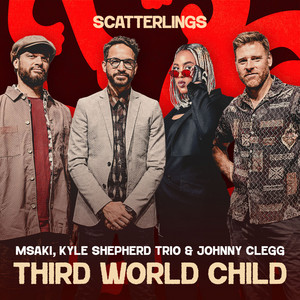 Third World Child cover art