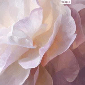 Infinite Softness - with water sounds by Liam Starling
