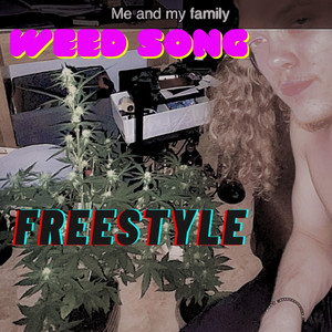 Weed Song (freestyle)