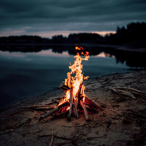 Deep roots by Jane Marry 420
