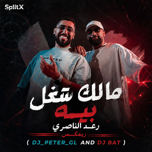 مالك شغل بيه ريمكس by DJ_PETER_GL
