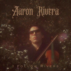 I Follow Rivers - Violin by Majestic Violin