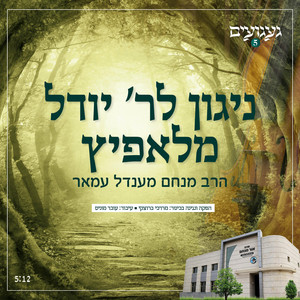 ניגון לר' יודל מלאפיץ by Rabbi Menachem Amar - הרב מנחם עמאר