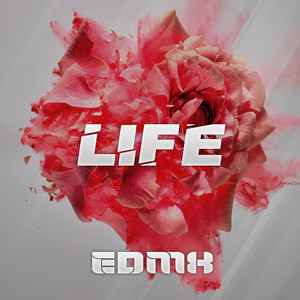 EDMX cover