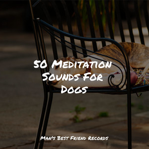 50 Meditation Sounds For Dogs album