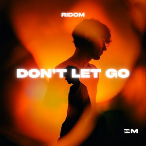 Don't Let Go - Sped Up by Ridom