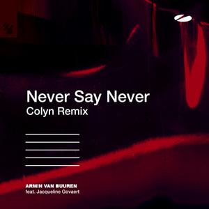 Never Say Never cover art
