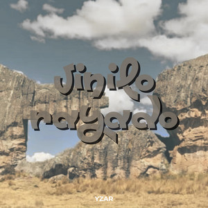 VINILO RAYADO by YZAR