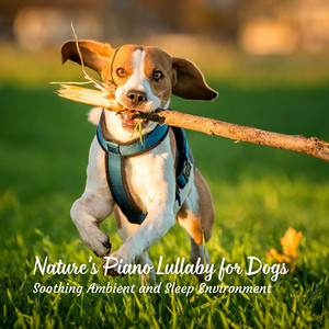 Nature's Piano Lullaby for Dogs: Soothing Ambient and Sleep Environment album