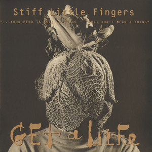 【LP】Stiff Little Fingers Inflammable〜 Inflammable Material (Pa) (Rocktober 2019) (Vinyl): STIFF LITTLE