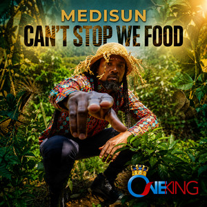Can't Stop We Food by MediSun
