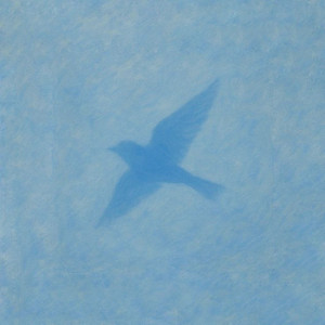 Piano in Open Silence by Kim Yoon, Alves, LucySPA