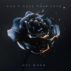 Can't Call This Love by OVI WOOD
