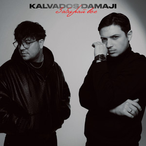 Забирай всё by KALVADOS, Damaji