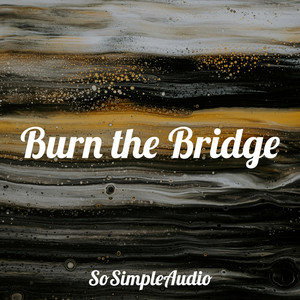 Was it Fun by SoSimpleAudio