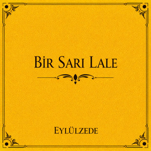 Leyla Leylaa by Eylülzede