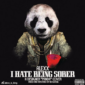 Alexx - I Hate Being Sober