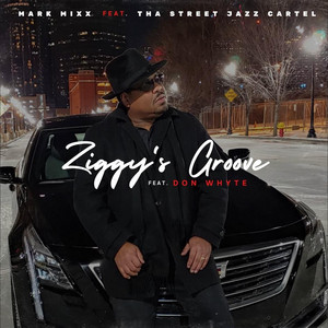 Ziggy's Groove (Radio Edit)