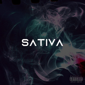 Portada de SATIVA
