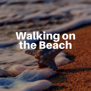 Walking on the Beach album