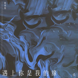 是美男 - 遇上你是我的缘 (DJ版) [DJ版]