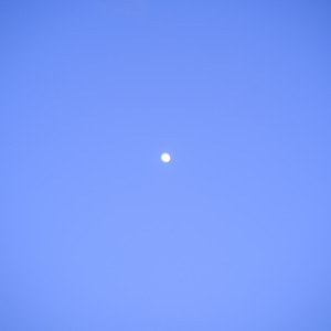 TANSTAAFL (feat. RIME) by Ru-ru, RIME